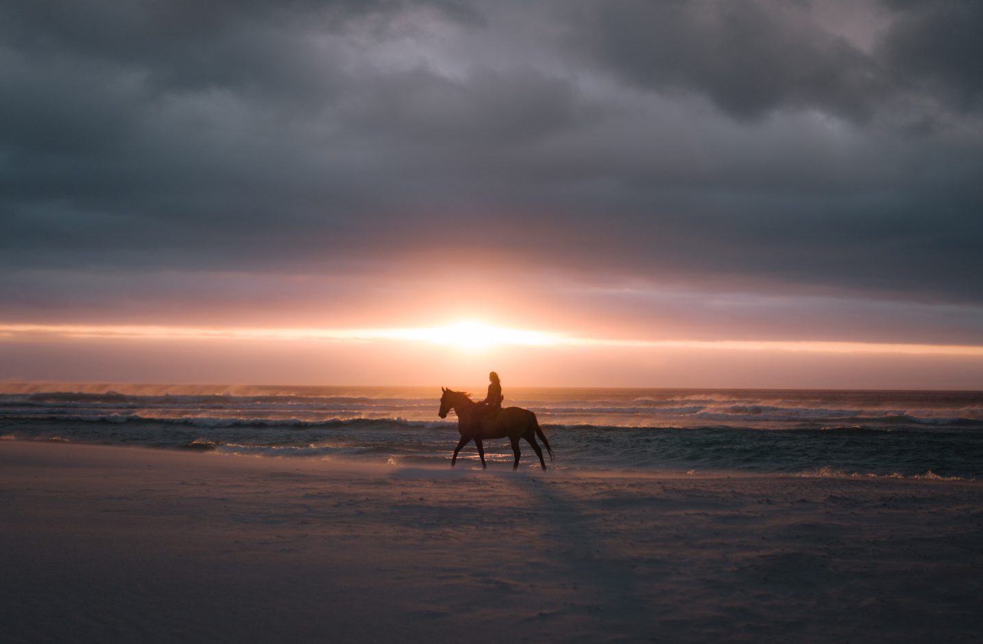 Horse rising on Woolacombe Beach North Devon